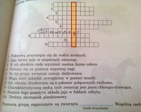 Cecha charakterystyczna w krzyżówce: wszystkie synonimy i rozwiązania