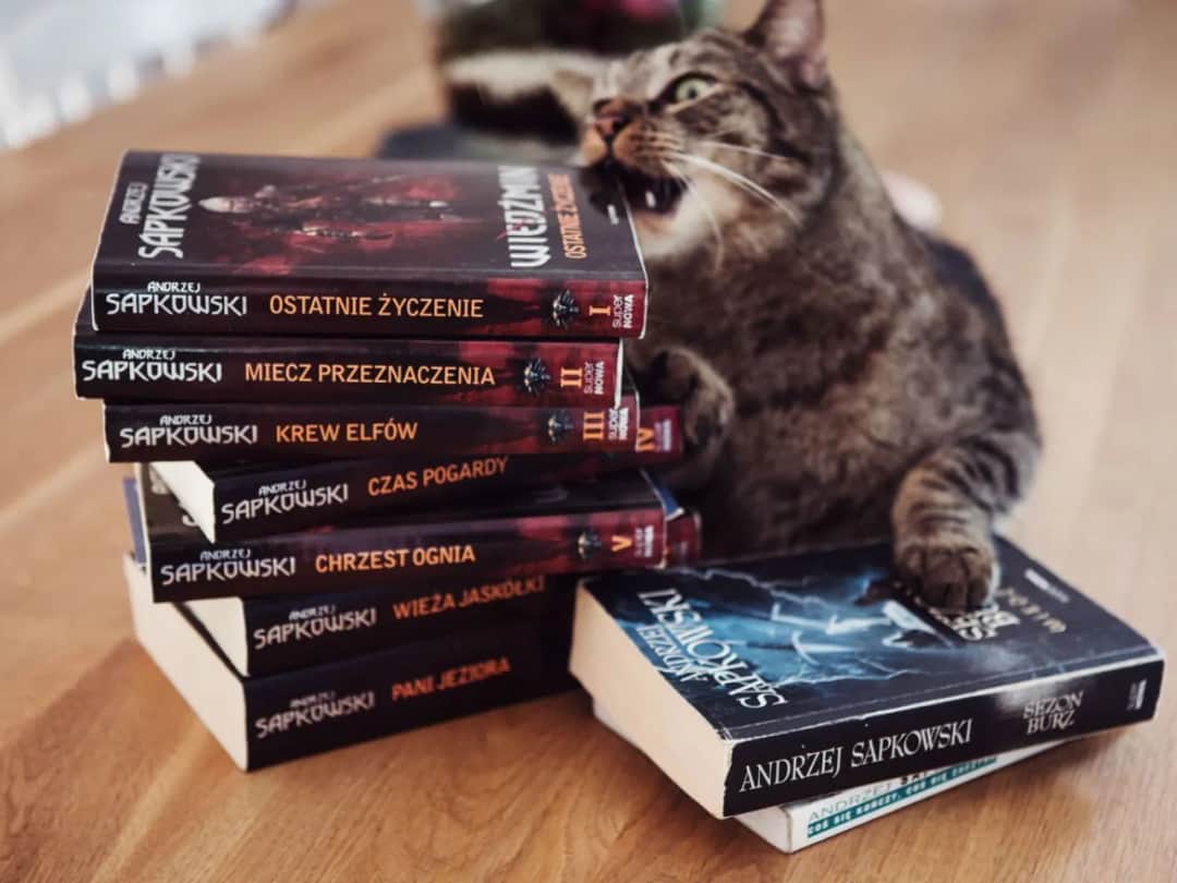 Książki Wiedźmin po kolei - Jak czytać Wiedźmina, Chronologia Wiedźmina