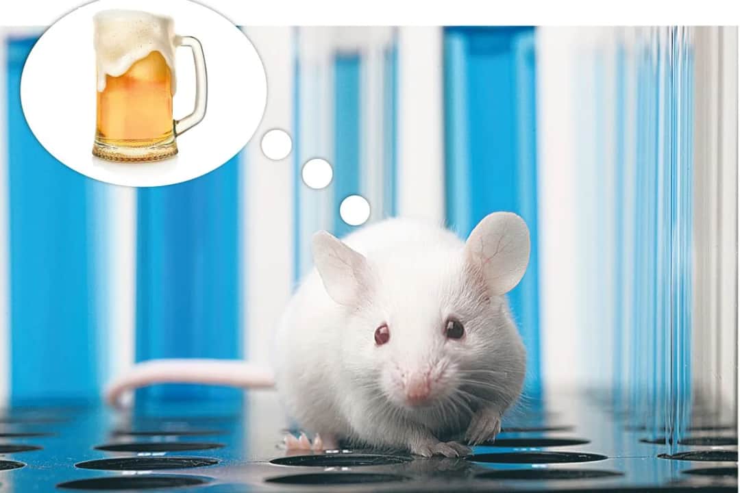 Makra w myszce: Pewny ban w grach? Dlaczego i jak wykrywają?