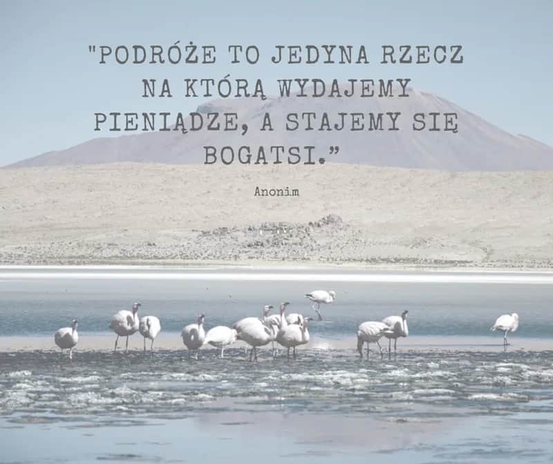 Poznaj najpiękniejsze krótkie cytaty o lecie i wakacyjnych chwilach