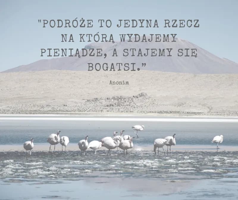 Poznaj najpiękniejsze krótkie cytaty o lecie i wakacyjnych chwilach